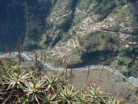 Madeira