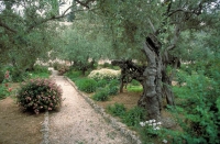  Jerusalem