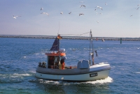 Fischer in Warnemünde