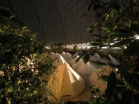  Regenwaldcamp