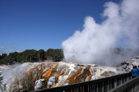 neuseeland rotorua tepuia brücke felsen neuseeland rotorua tepuia brücke felsen