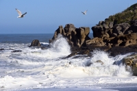 küste punakaiki neuseeland  küste punakaiki neuseeland 