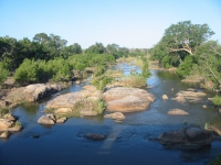 krüger national park südafrika krüger national park südafrika