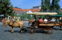 Planwagenfahrt