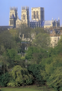 york minster  york minster 