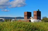 Oslo Blick auf Rathaus Oslo Blick auf Rathaus