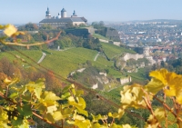 Congress-Tourismus-Wirtschaft Würzburg