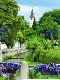 baden württemberg markgräflerland müllheimmartinskirche baden württemberg markgräflerland müllheimmartinskirche