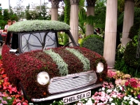 großbritannien england london chelsea flower show bepflanzter mini