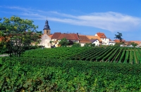 Weindorf Frankweiler