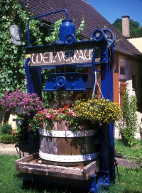 Deutschland Bayern Franken Rothenburg Tauber Weinverkauf