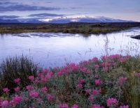 island skaftafell eyrarros