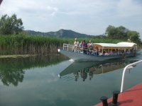 montenegro fluss boot tour schifffahrt berg montenegro fluss boot tour schifffahrt berg