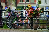 niederlande amsterdam fahrrad dekoration bunt blumen girlande