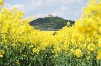 deutschland thüringen berg burg hügel raps gelb