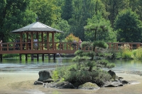 polen breslau botanischer garten  polen breslau botanischer garten 