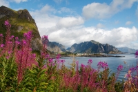 norwegen lofoten reine