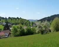 hessen grasellenbach aussicht cropped_250d72519d715c92_GrasellenbachAnsicht