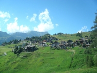 italien aostatal aosta berg chamois-375838_960_720