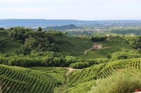 	italy, italien, treviso 1500365721.jpg