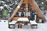 deutschland thüringen thüringer wald oberhof rennsteig hütte berghütte schnee
