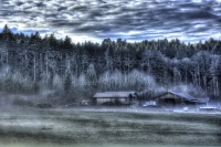 winter, nebel, landschaft, chiemgau, kalt, wald, hütte, bäume winter-533482_960_720