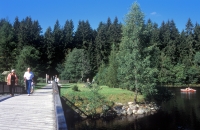 Fichtelgebirge