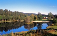 Bayerischer Wald