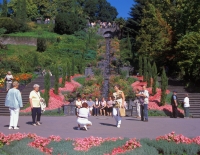 Blumeninsel Mainau Blumeninsel