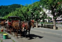 Kurviertel in Karlsbad karlsbad