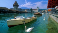 vierwaldstätter see