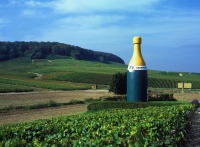 frankreich champagne weinlandschaft champagnerflasche