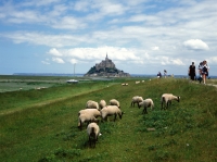 Normandie am Mont St. Michel