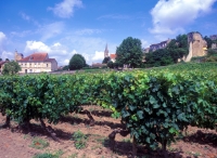 Burgund Burgund