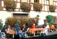 frankreich elsass rastpause frankreich elsass rastpause