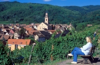 Frankreich Elsaß Blick auf Riquewihr