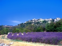 Frankreich Provence Blick auf Gordes Frankreich Provence Blick auf Gordes