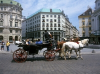 Wien Wien