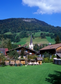 Wald