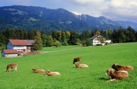 Vorarlberg