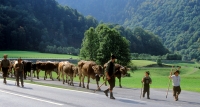 Vorarlberg Vorarlberg