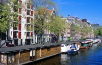 msterdam