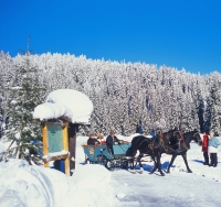 Winterliche Pferdeschlittenfahrt