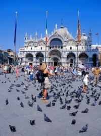 Venedig Markusplatz Venedig Markusplatz