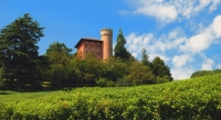 italien 068-22--i--piemont--weingut im monferrato bei alba.jpg 1227283140.JPG