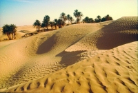 Dünenlandschaft Tunesien Dünenlandschaft Tunesien