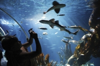  Sealife Speyer