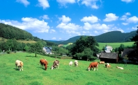 Sauerland