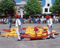 Käsemarkt in Alkmaar