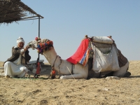 Ägypten Ägypten